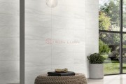Gạch Ốp Lát  APODIO 48709
